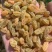新疆葡萄干一级黄大颗粒一级黄中颗粒电商商超团购多多买菜