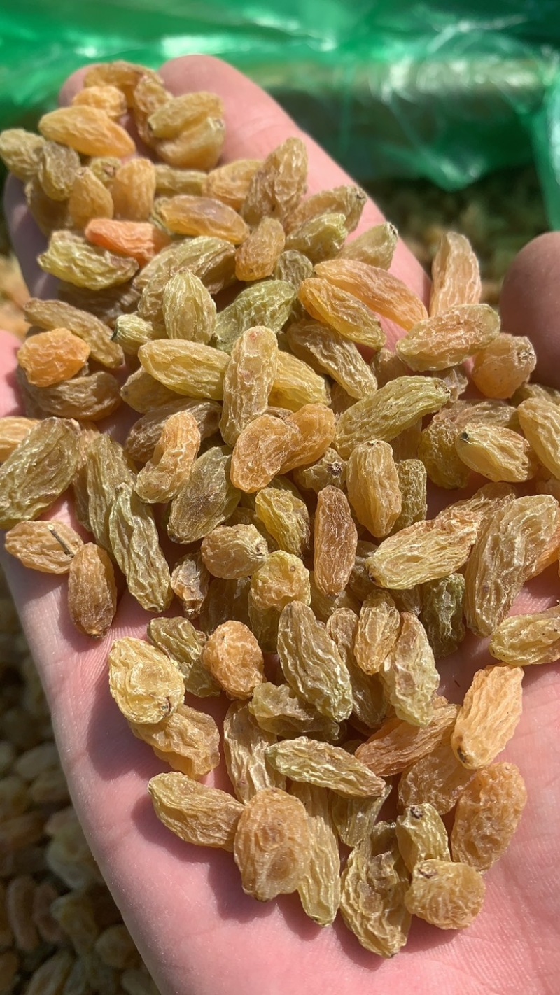新疆葡萄干一级黄大颗粒一级黄中颗粒电商商超团购多多买菜