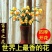 【大花苞兰花苗】驱蚊浓香型兰花盆栽室内绿植除甲醛花卉四季