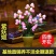 【大花苞兰花苗】驱蚊浓香型兰花盆栽室内绿植除甲醛花卉四季