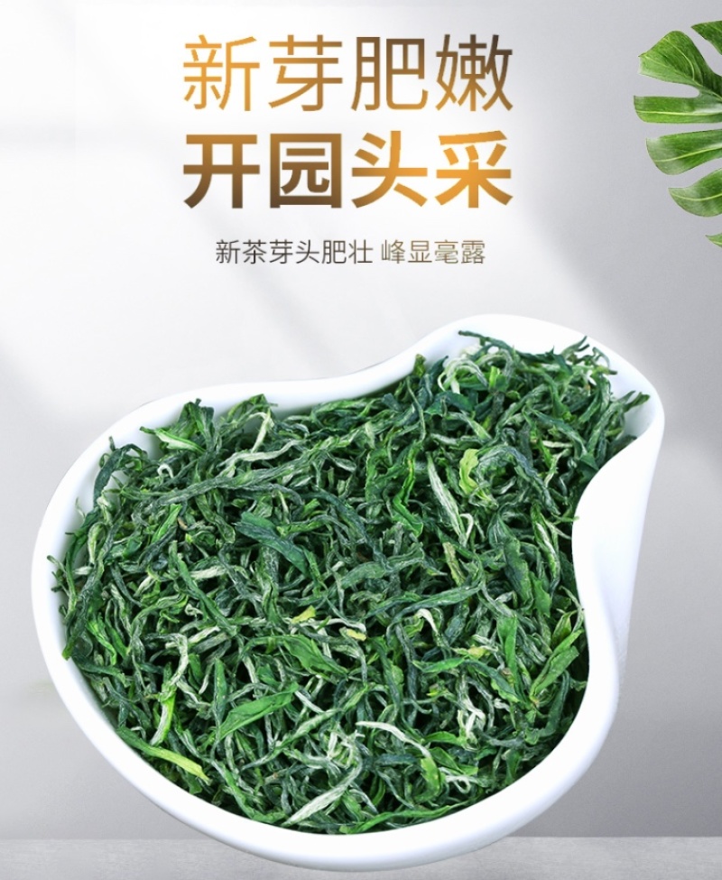 【火热】炒青绿茶优质绿茶毛峰口粮茶厂家直供批发