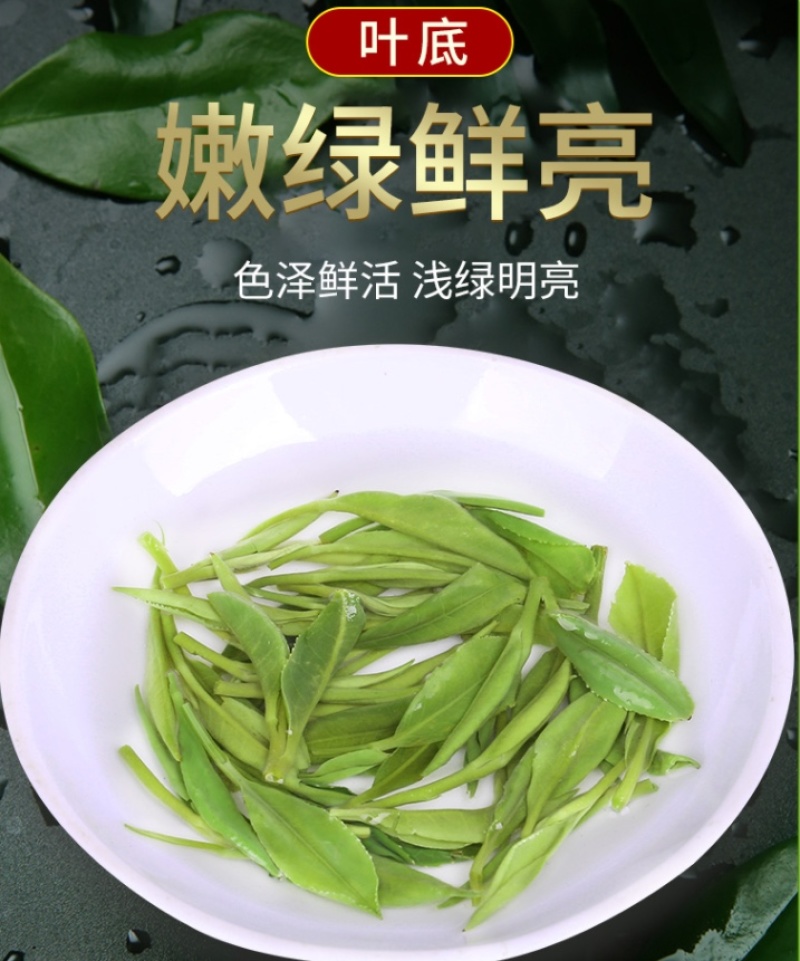 【火热】炒青绿茶优质绿茶毛峰口粮茶厂家直供批发