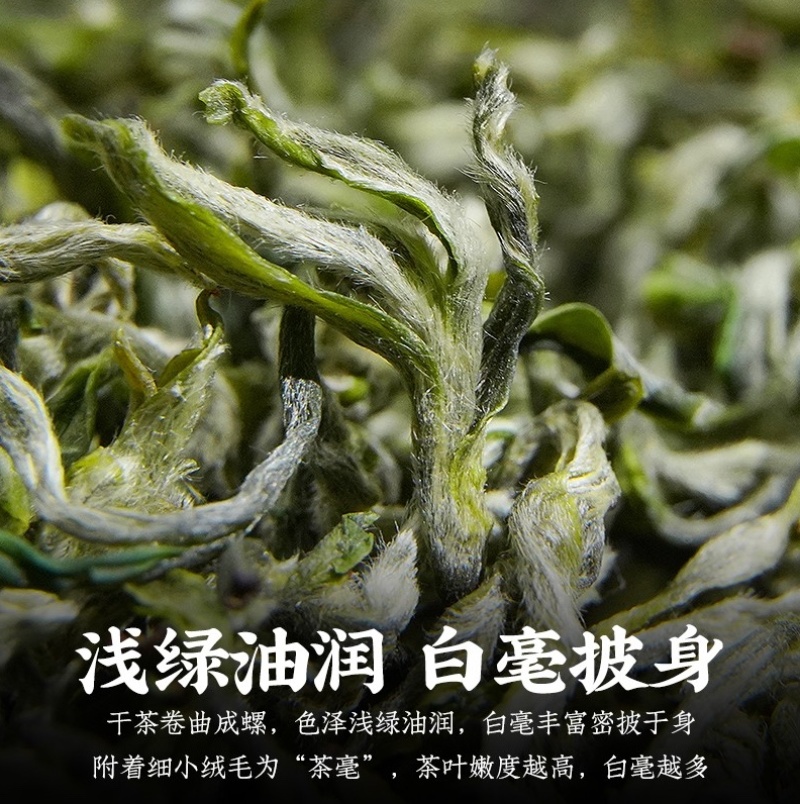 2022手工茶新茶明前蒙顶甘露厂家供货