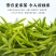 2022手工茶新茶明前蒙顶甘露厂家供货