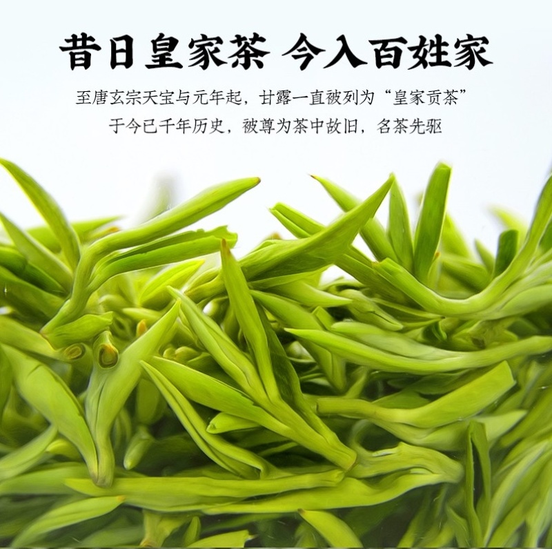 2022手工茶新茶明前蒙顶甘露厂家供货