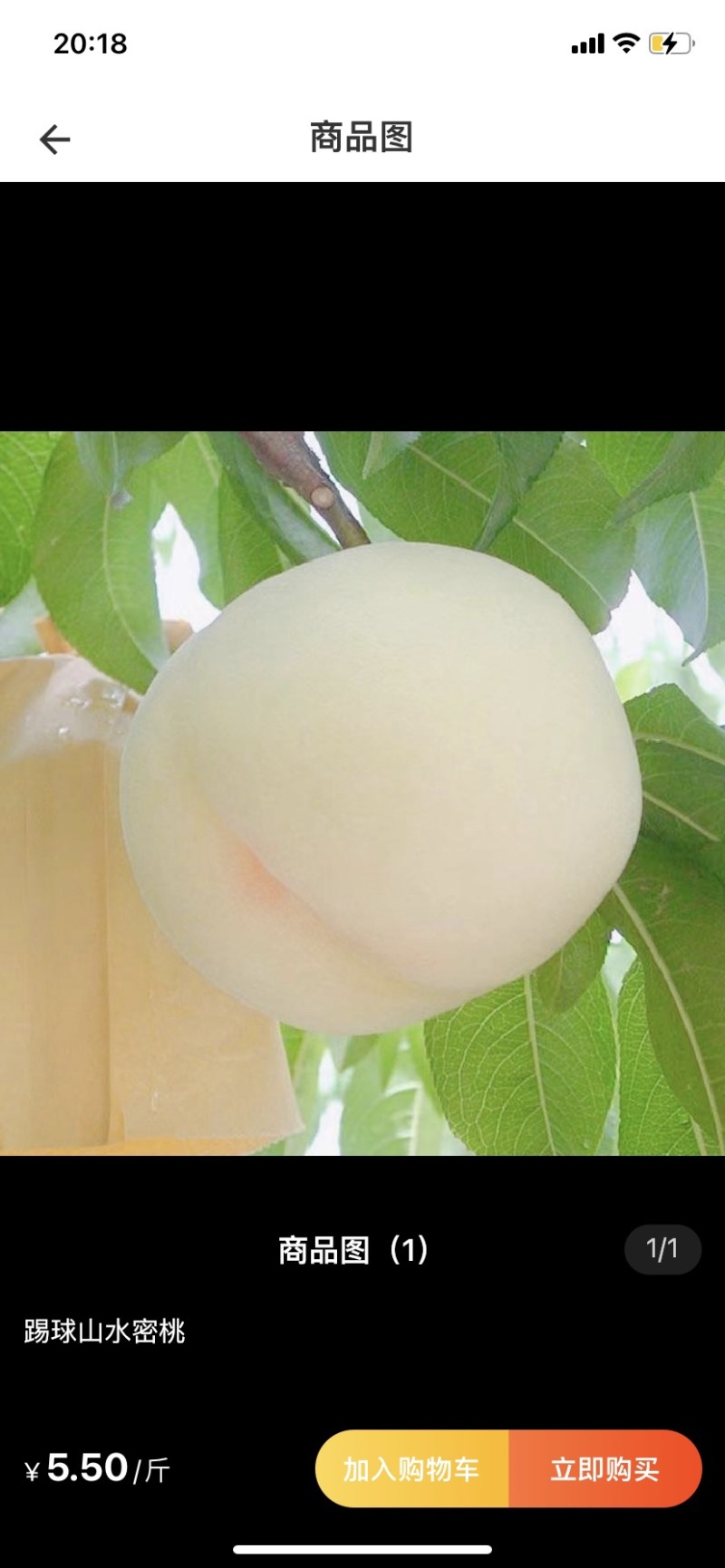 白桃白凤新沂水蜜桃精品水蜜桃白桃代办代办