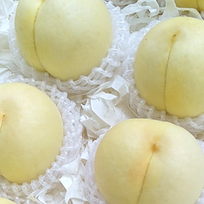 白桃白凤新沂水蜜桃精品水蜜桃白桃代办代办