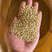 荞麦米批发量大优惠荞麦仁现货充足袋装49斤