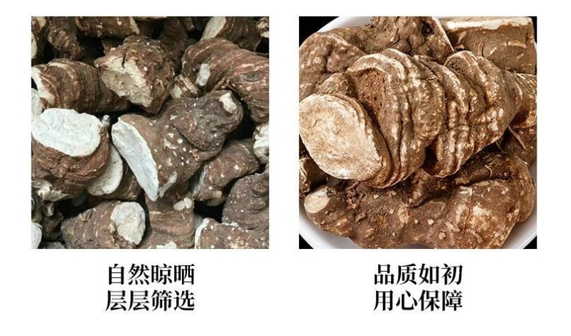 重楼华重楼七叶一枝花统货