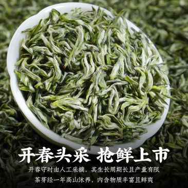 2022手工茶新茶明前蒙顶甘露厂家供货