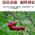 山东烟台大樱桃车厘子一件代发团购代办