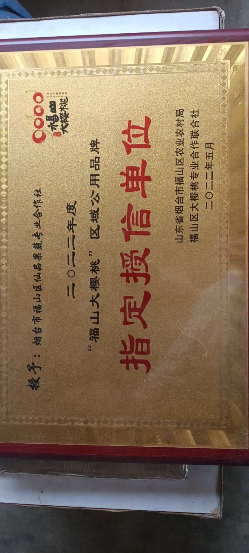 山东烟台大樱桃车厘子一件代发团购代办