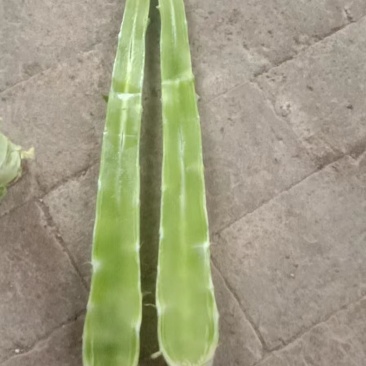 精品杆子货