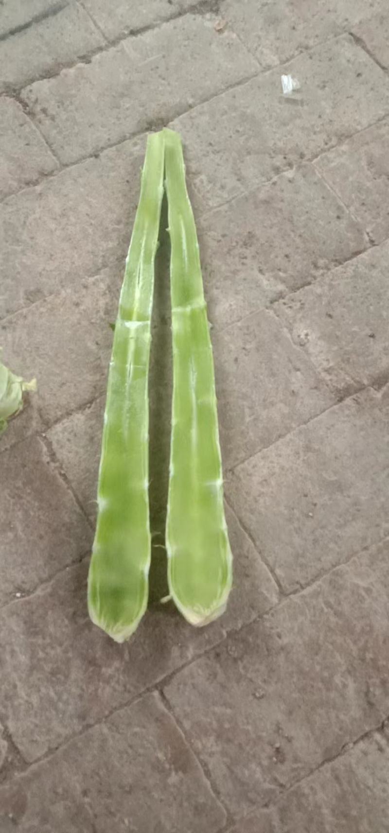 精品杆子货