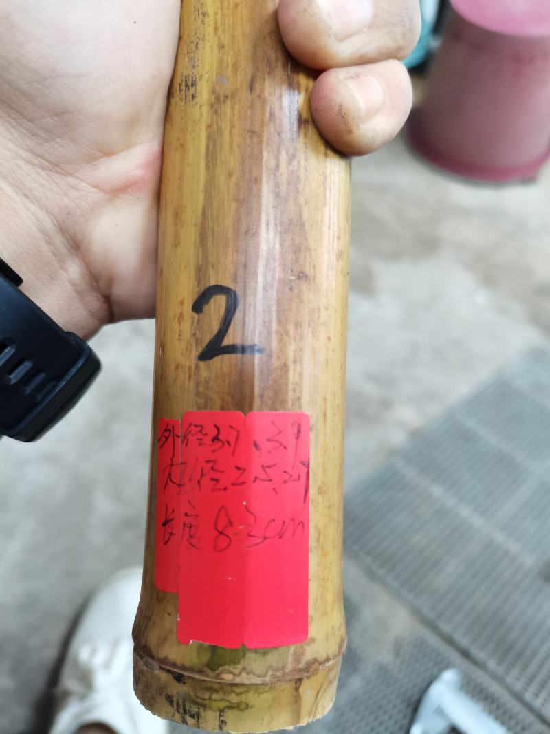 闽南高山石竹老料老硬厚重密实