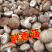 鲜香菇工厂货，一手货源，品质保证，诚信经营，量大从优