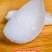 龙山百合干正品无硫新鲜食用百合干莲子干货湖南特产滋补养生