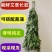 艾草端午【安徽合肥】