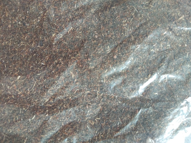 鹿茸草种子稀有种子，野生纯鹿茸草种籽