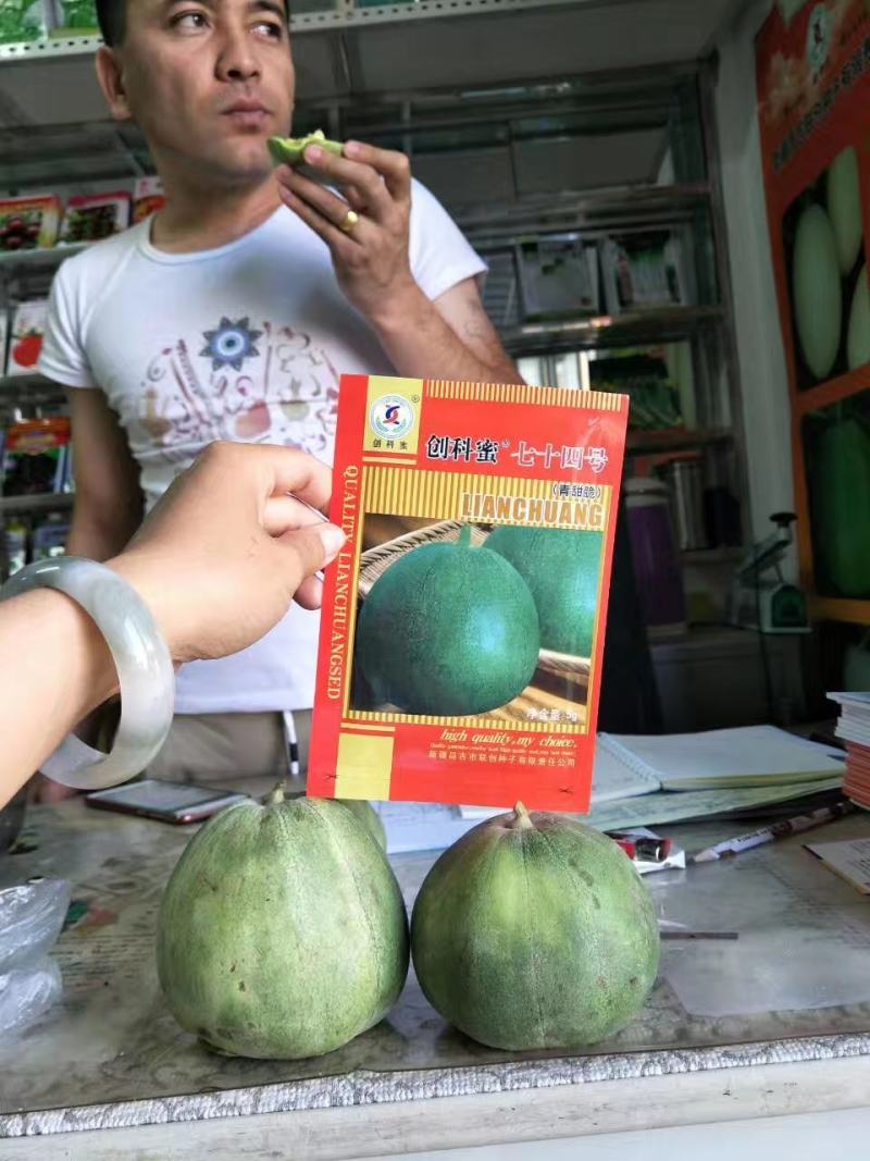 青甜脆甜瓜种子抗病绿皮绿肉含糖量高果重500克肉厚品质高