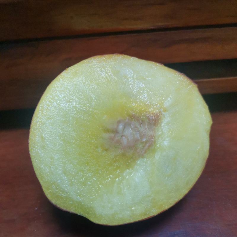 黄金桃金阳一号