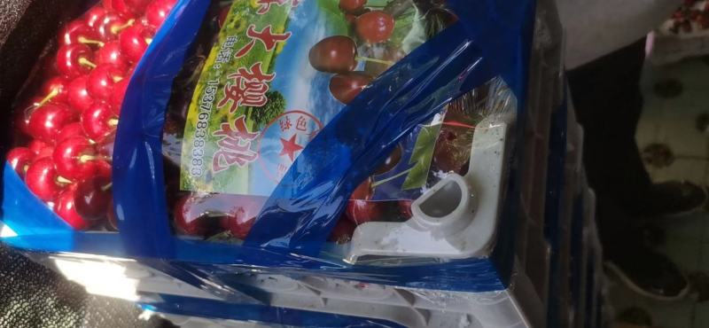 山东大樱桃产地直供美早戴红布鲁克斯红灯