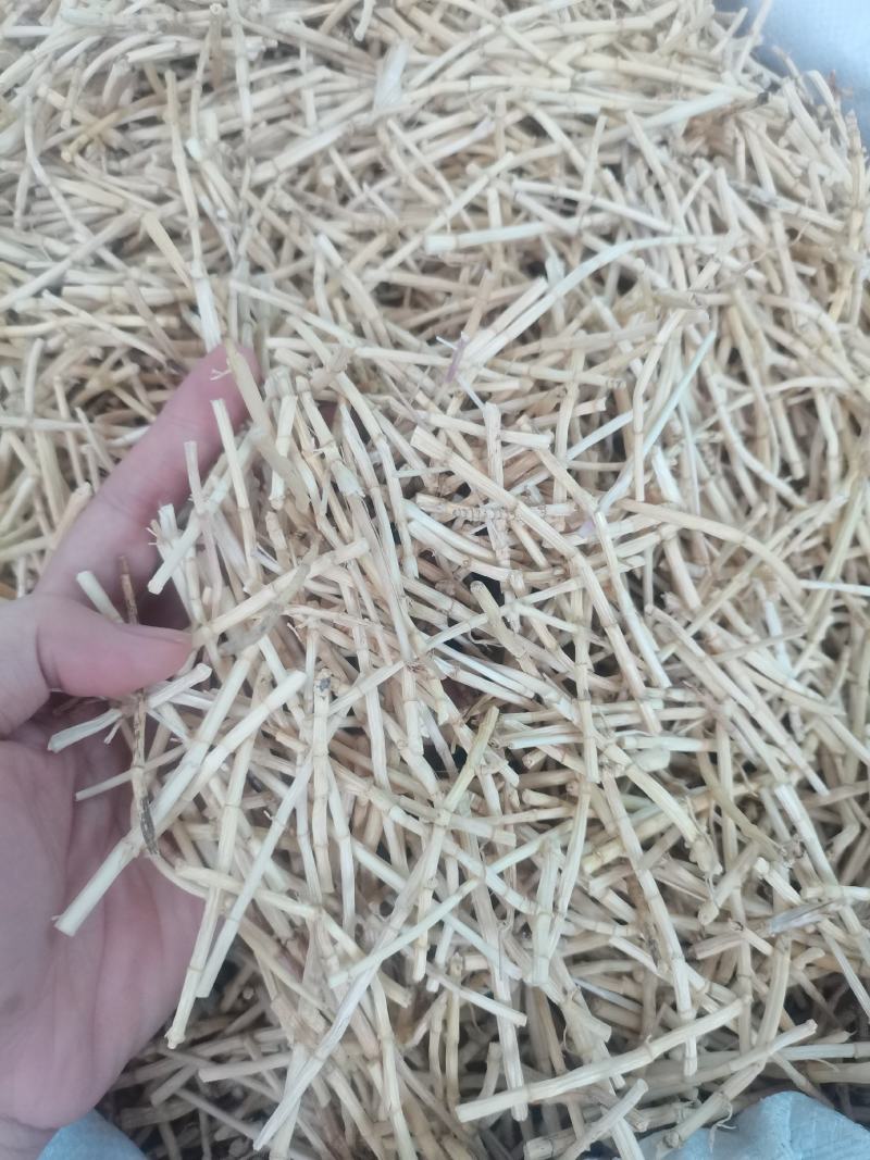 茅根无硫白茅根茅根干白茅根干净漂亮