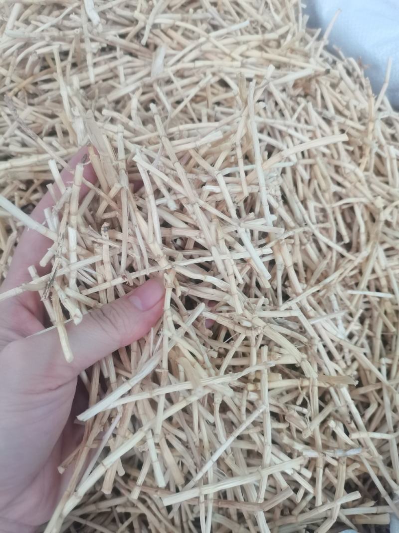 茅根无硫白茅根茅根干白茅根干净漂亮