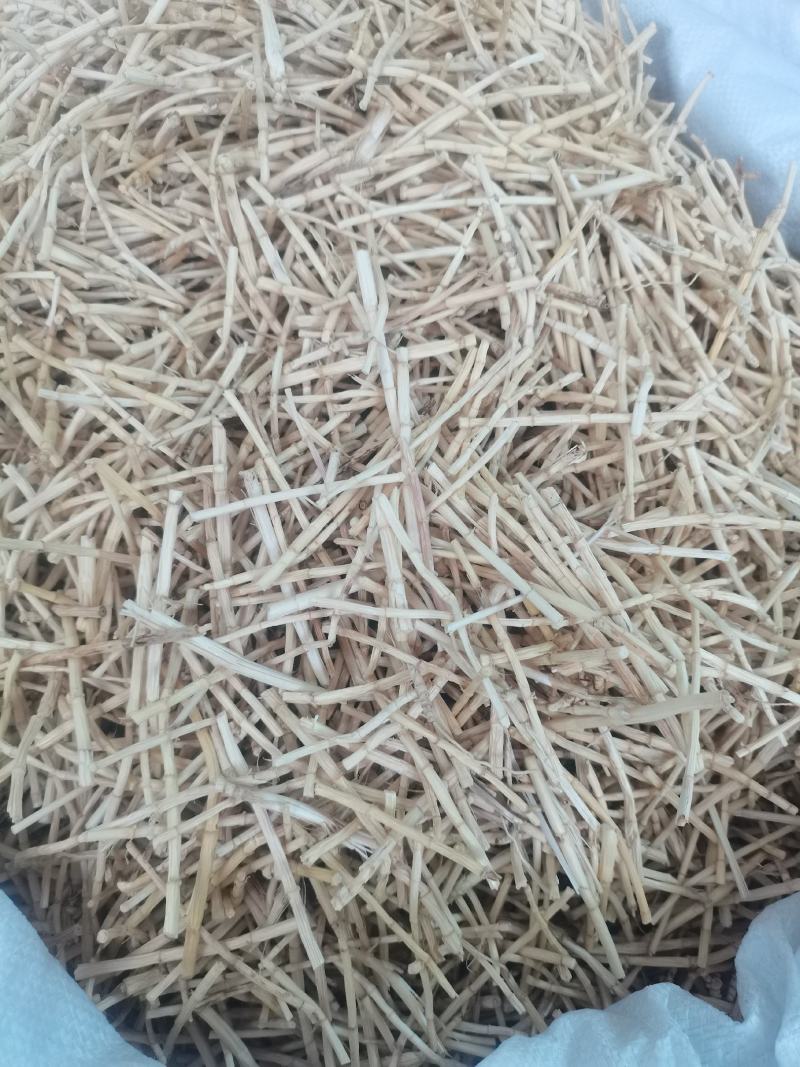 茅根无硫白茅根茅根干白茅根干净漂亮
