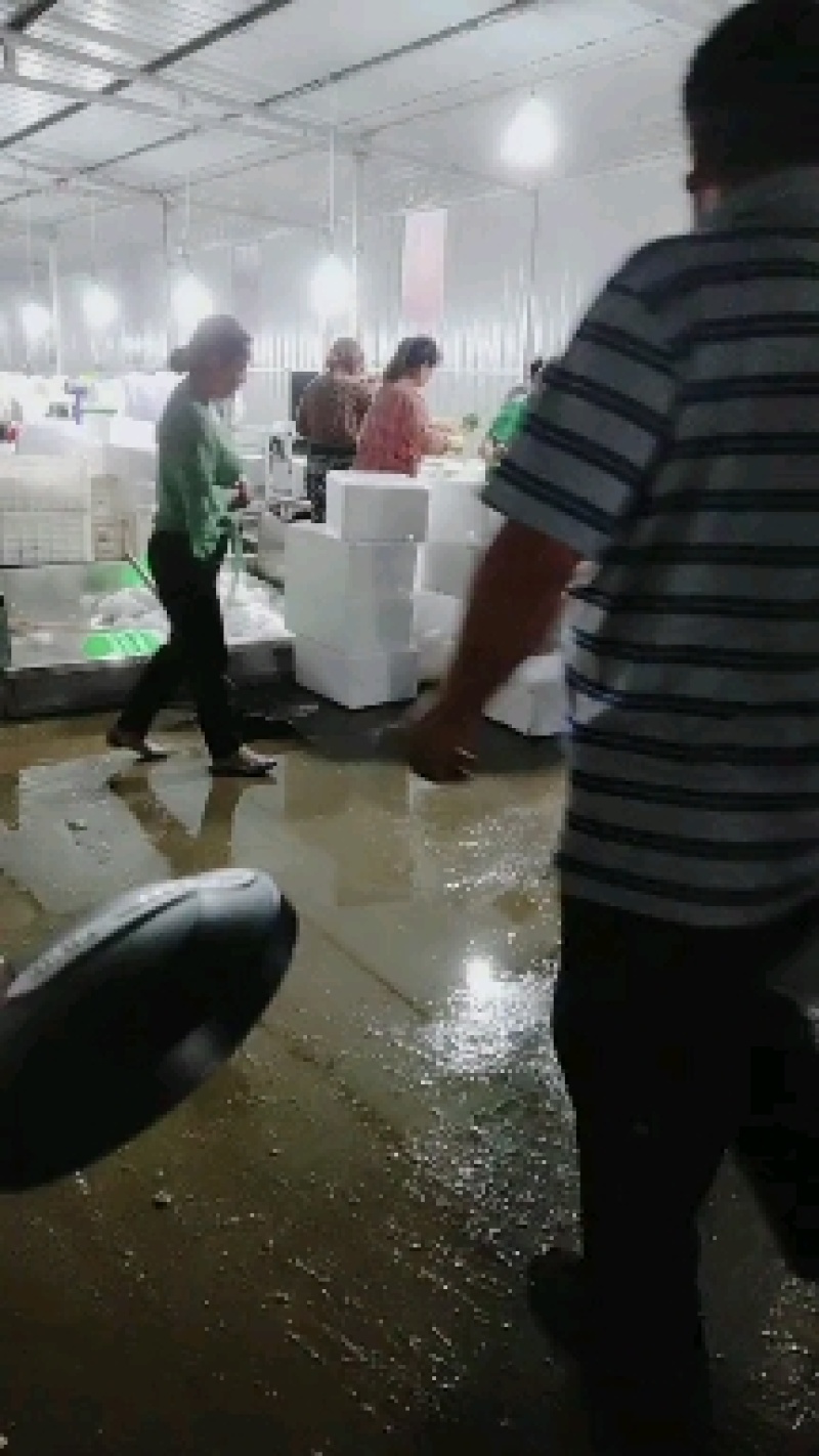 张家口沽源县坝上冷库出租，产地大，分租，欢迎联系