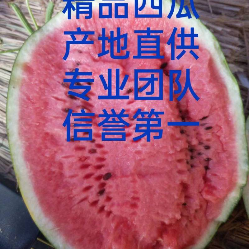 精品美都西瓜，大红瓤熟度好的西瓜，现摘现发的大西瓜
