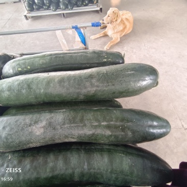东台货