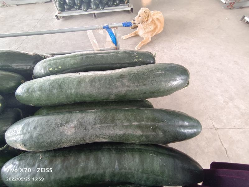 东台货