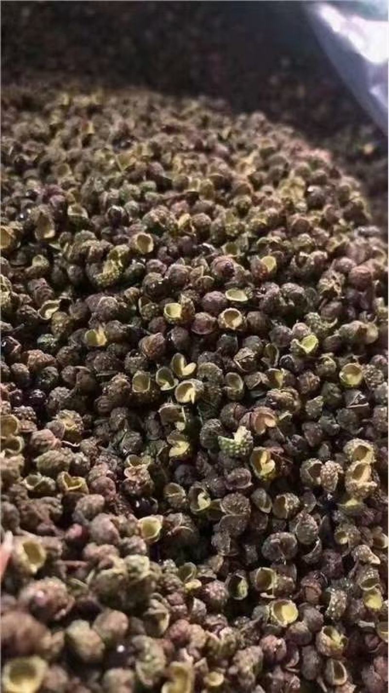 云南青花椒跑江湖地摊10元一碗模式批发一手货源食用麻椒
