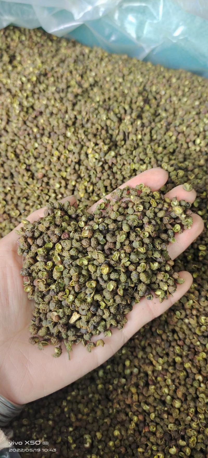 云南青花椒跑江湖地摊10元一碗模式批发一手货源食用麻椒