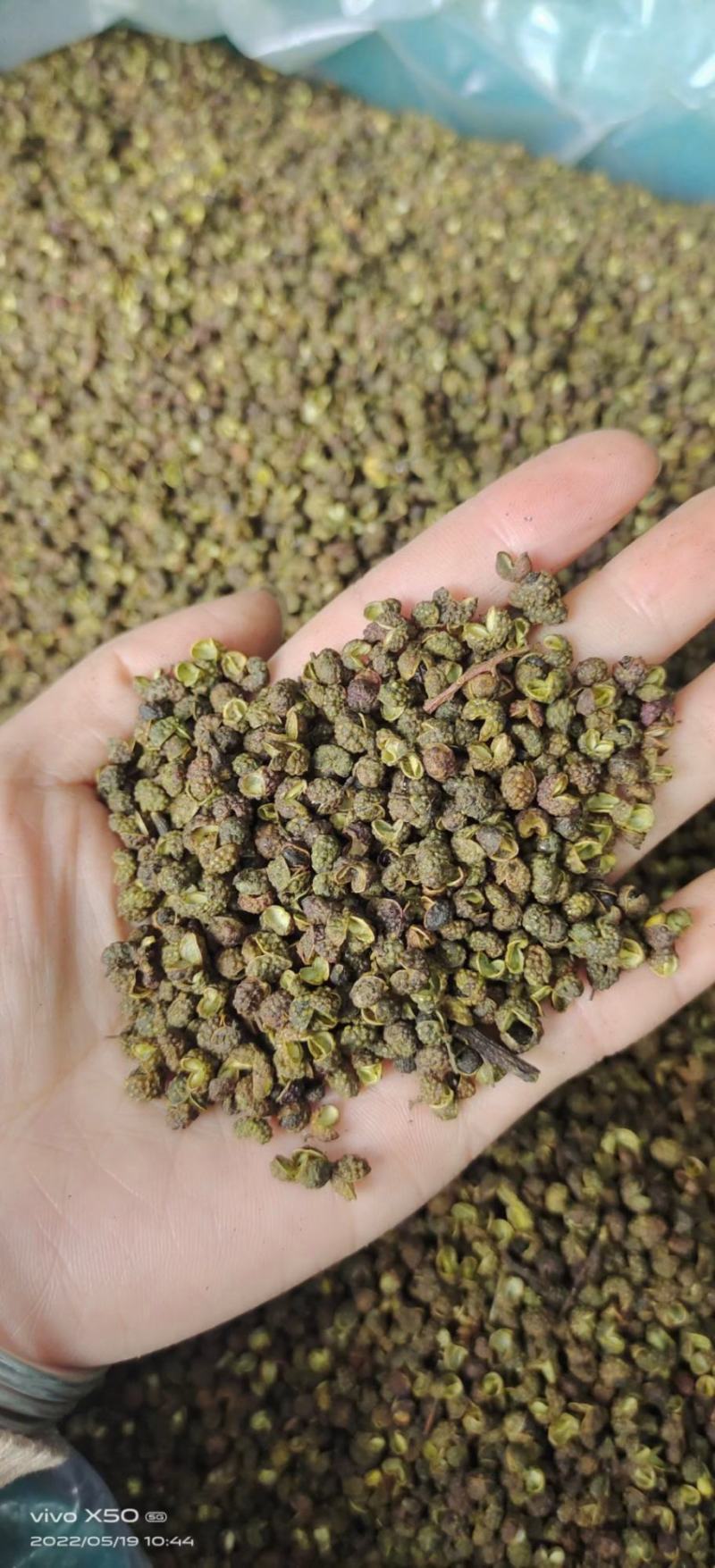 云南青花椒跑江湖地摊10元一碗模式批发一手货源食用麻椒