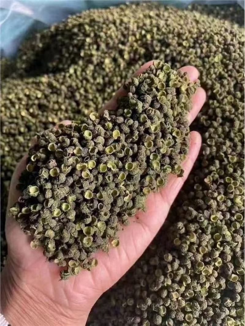 云南青花椒跑江湖地摊10元一碗模式批发一手货源食用麻椒