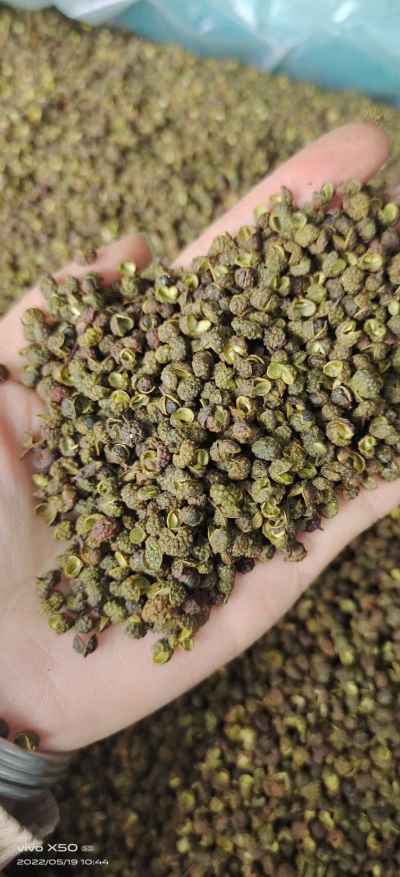 云南青花椒跑江湖地摊10元一碗模式批发一手货源食用麻椒