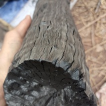 荔枝龙眼木炭
