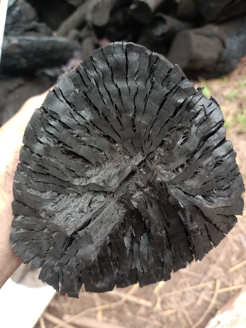 荔枝龙眼木炭
