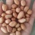 白沙花生米农家自产花生米食品加工大量批发袋装50斤
