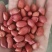 红皮花生米东北四粒红花生米食品加工现货袋装48斤