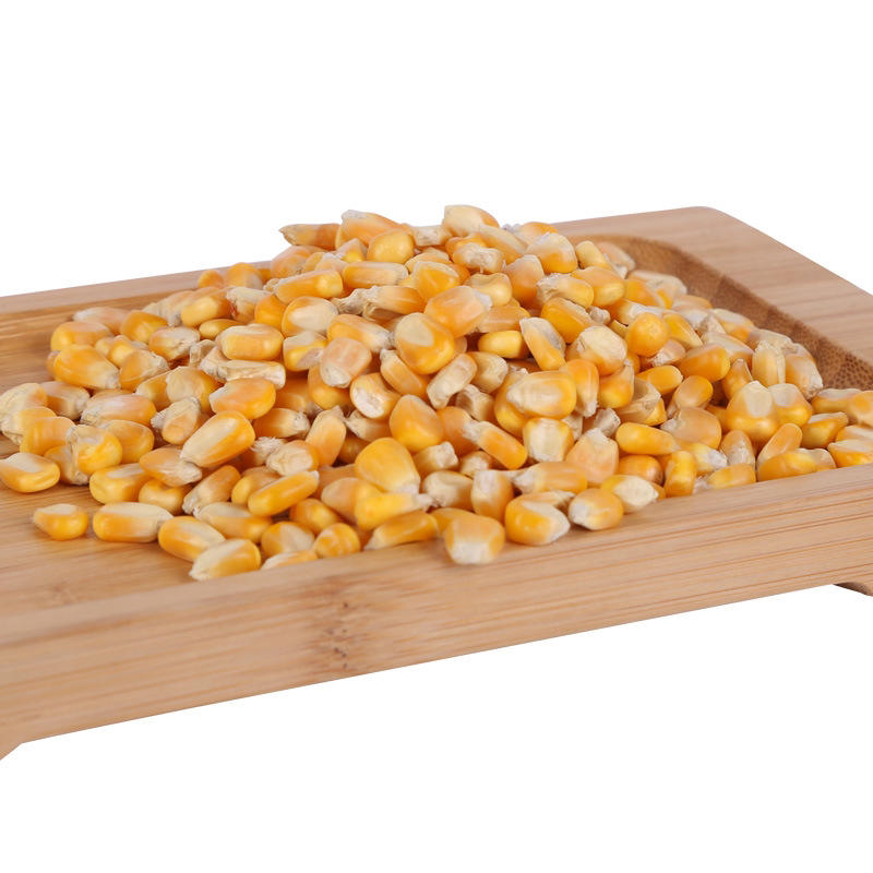 大玉米饲料酿酒食品加工黄玉米五谷杂粮袋装50斤