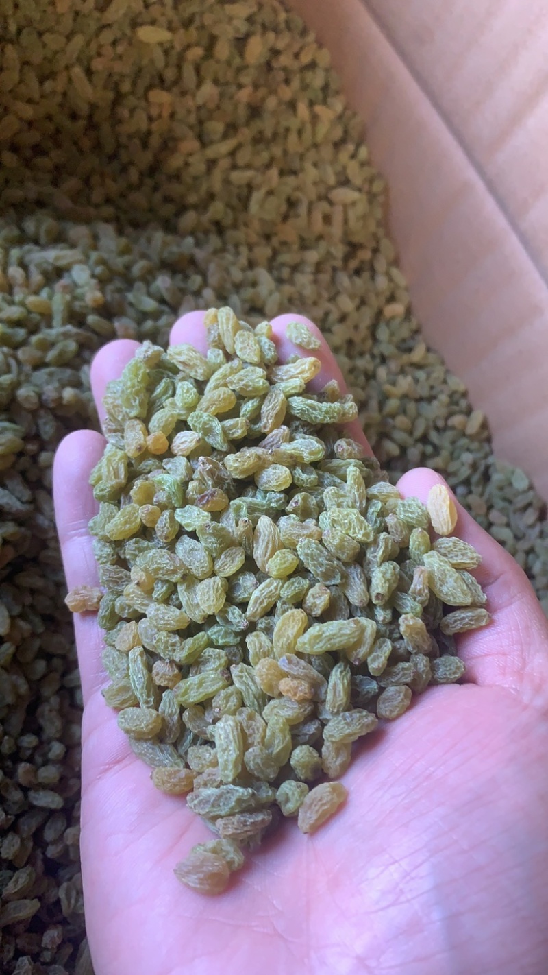 奶茶酸奶烧仙草冰粉凉糕专用葡萄干无杂无石可直接食用商用