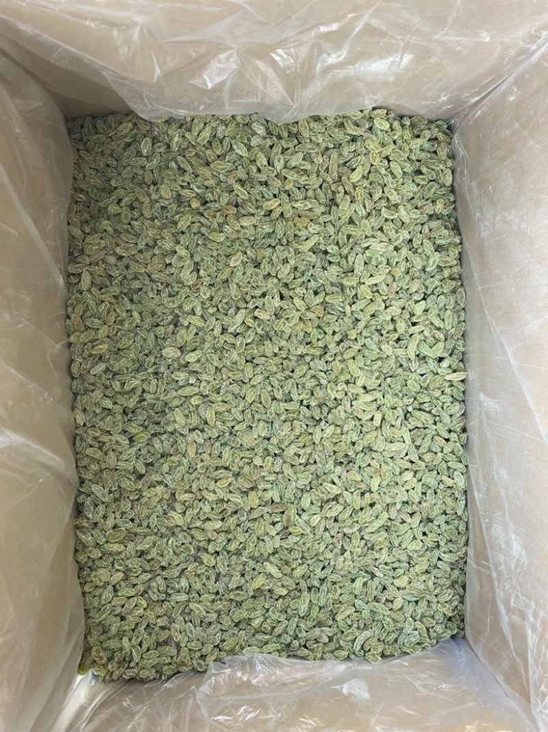 奶茶酸奶烧仙草冰粉凉糕专用葡萄干无杂无石可直接食用商用