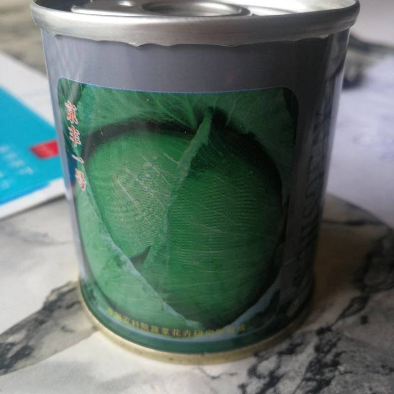 中熟甘蓝一代杂交，叶色深绿，蜡粉中等，叶球扁圆。