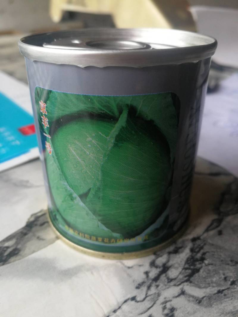 中熟甘蓝一代杂交，叶色深绿，蜡粉中等，叶球扁圆。