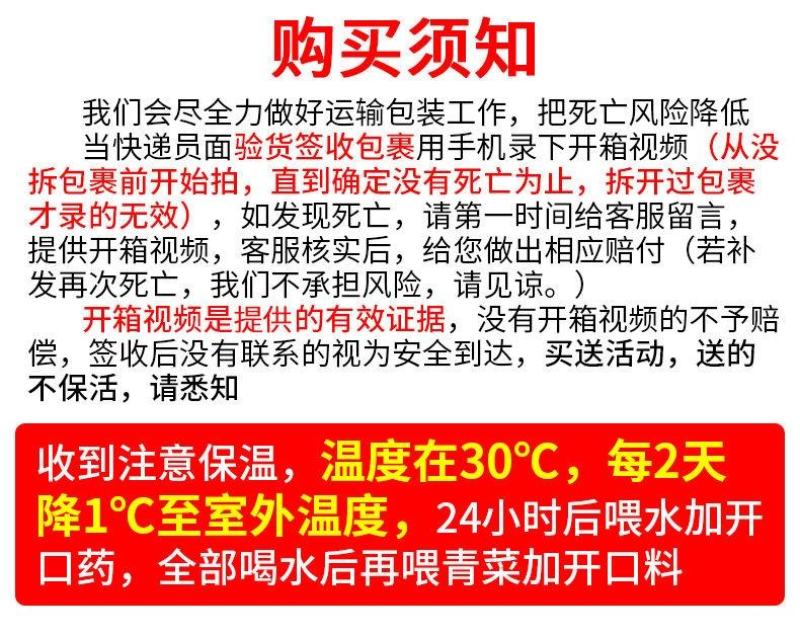 东涛鸡苗，疫苗齐全。包活到可分公母价格优惠便宜，全国包邮