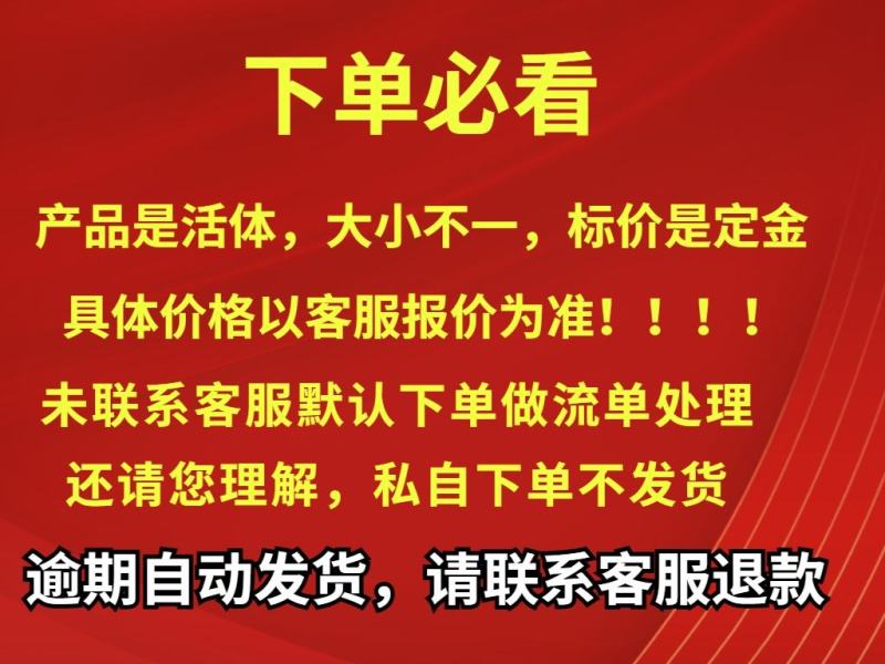 东涛鸡苗，疫苗齐全。包活到可分公母价格优惠便宜，全国包邮