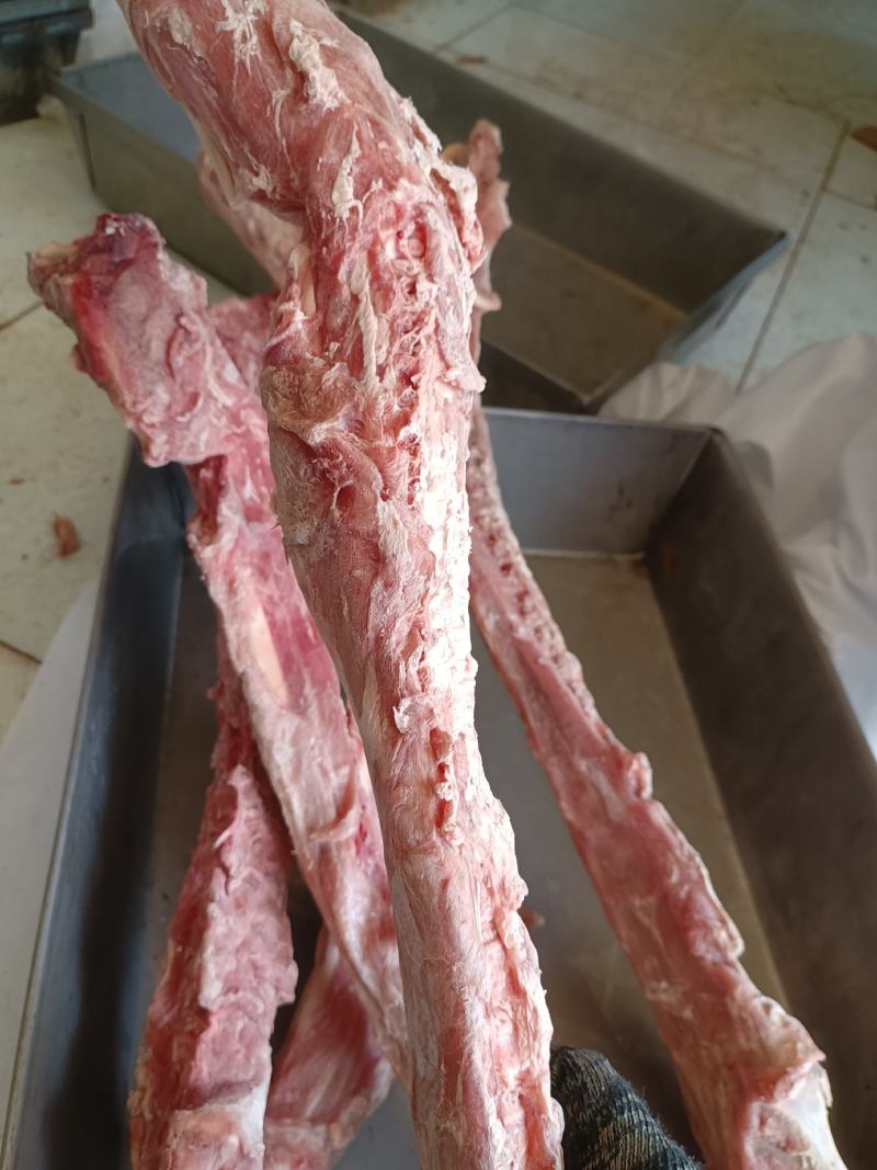 满肉羊蝎子多肉羊脊骨多肉羊脖骨可锯断一件起发
